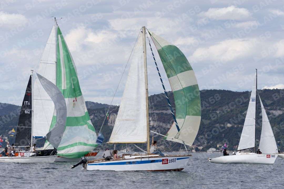 Mascone n° 1937, 0502, 0271