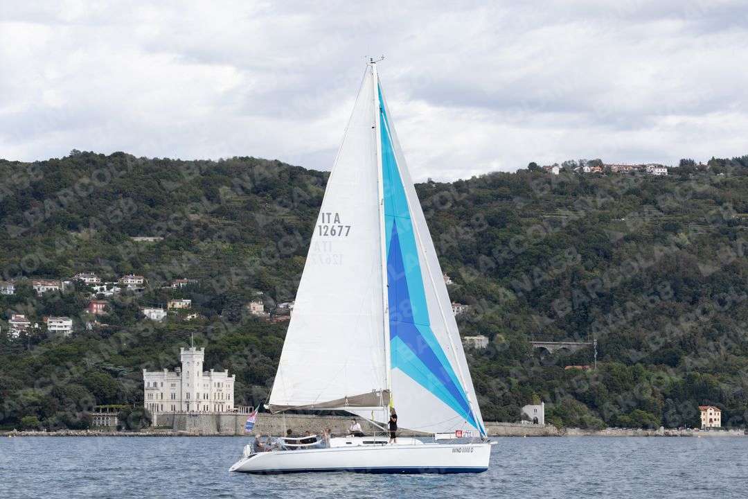 Mascone n° 1711