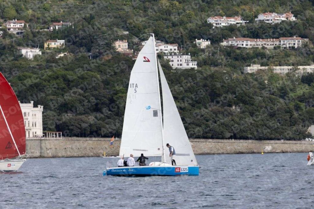 Mascone n° 1325