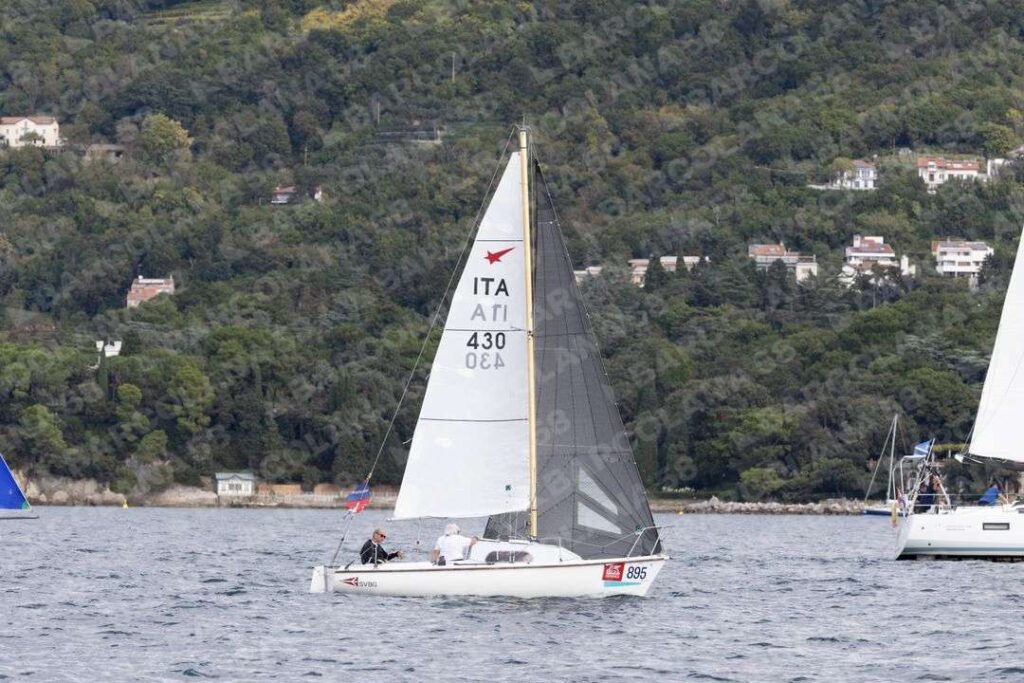 Mascone n° 0895