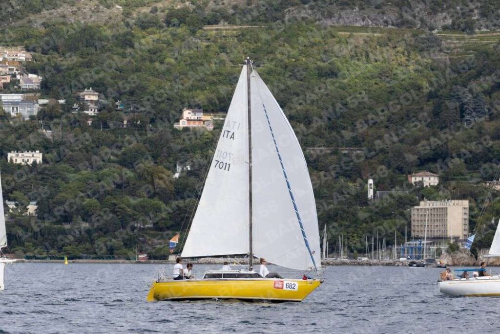 Mascone n° 0682