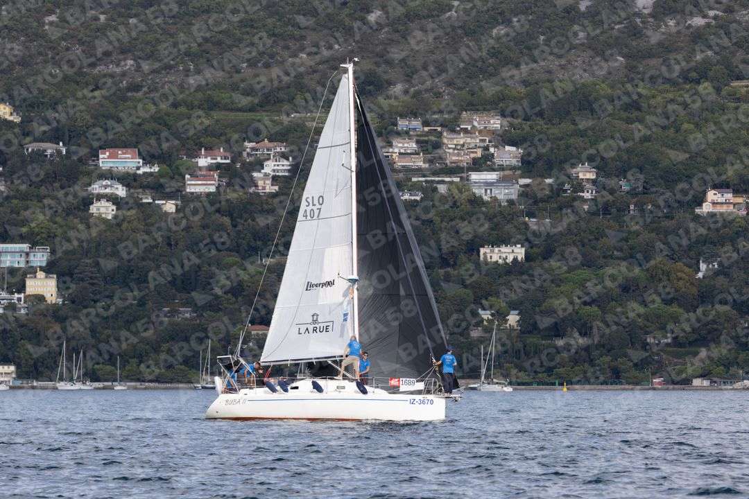 Mascone n° 1689