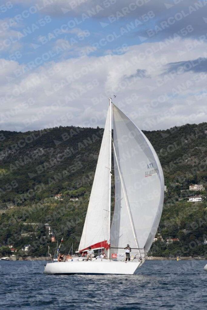 Mascone n° 1354