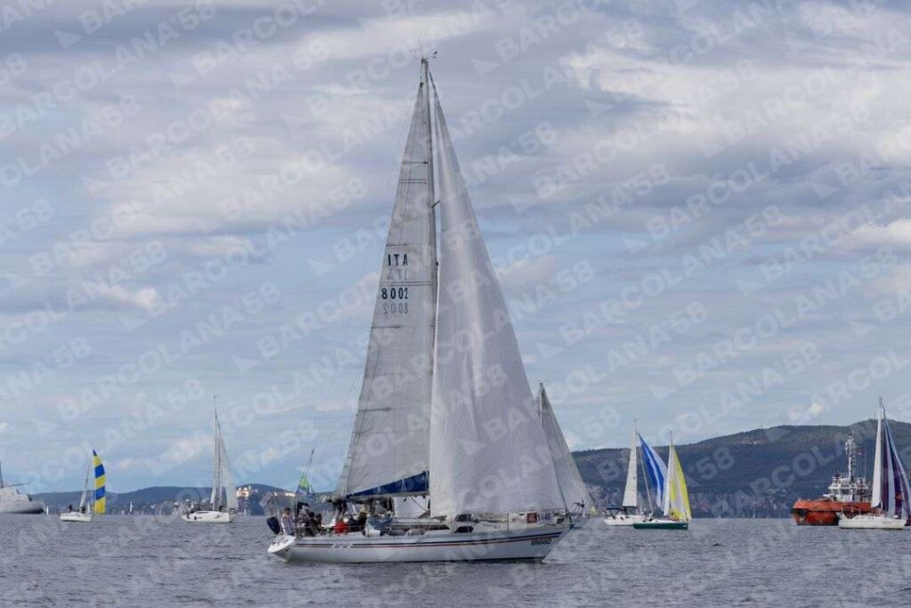 Mascone n° 1446