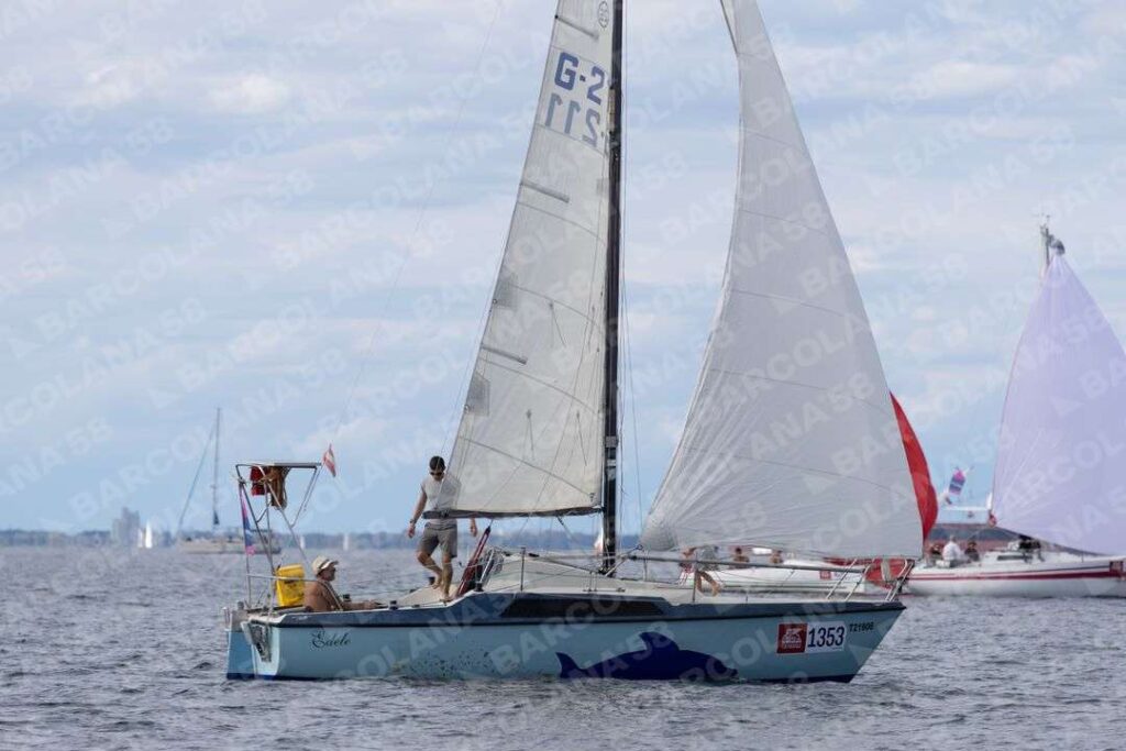 Mascone n° 1353