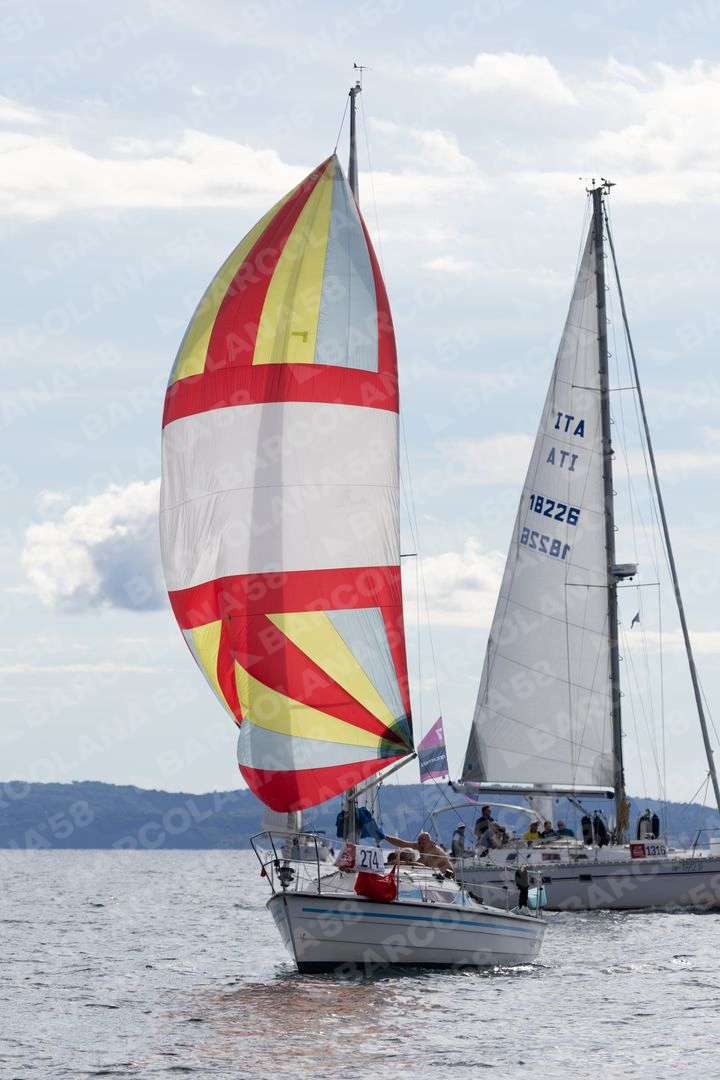 Mascone n° 1316, 0274