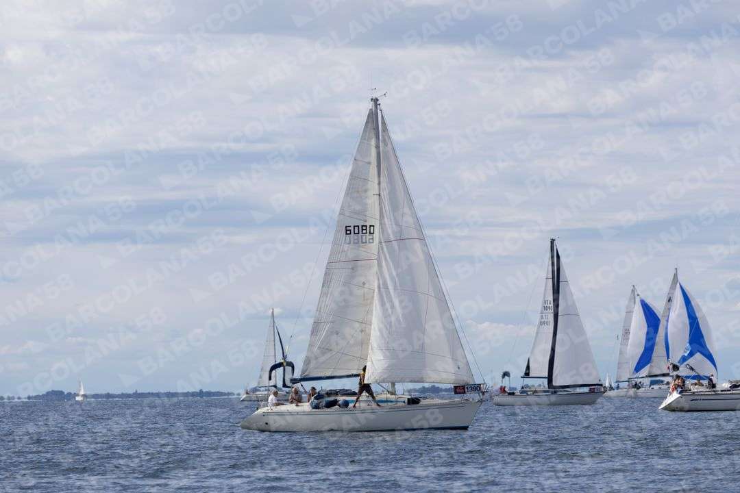 Mascone n° 1390, 0302