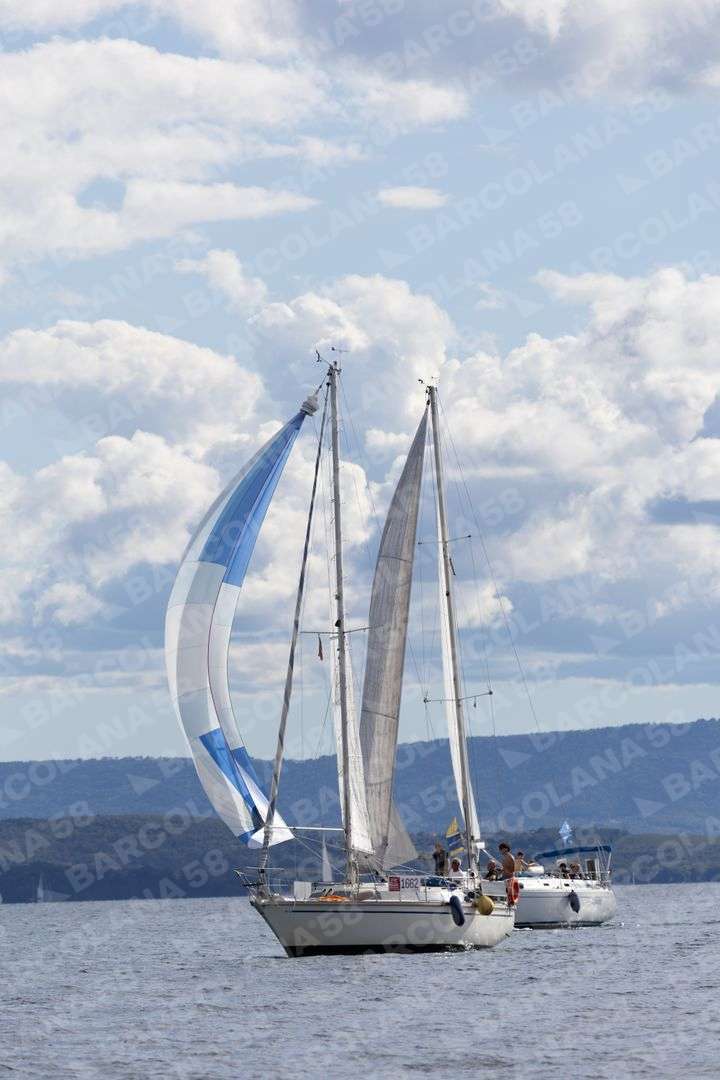 Mascone n° 1662