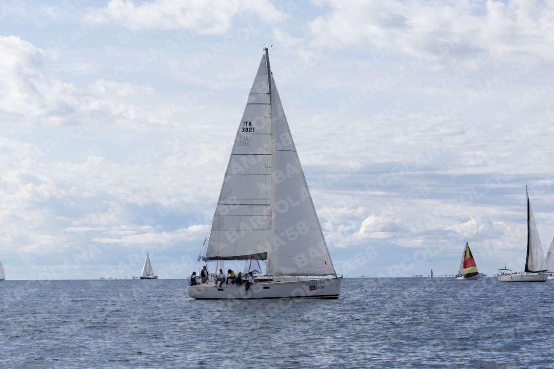 Mascone n° 1616