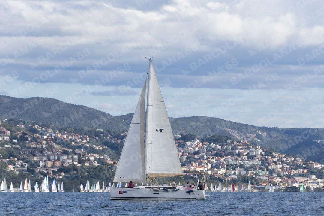 Mascone n° 1679
