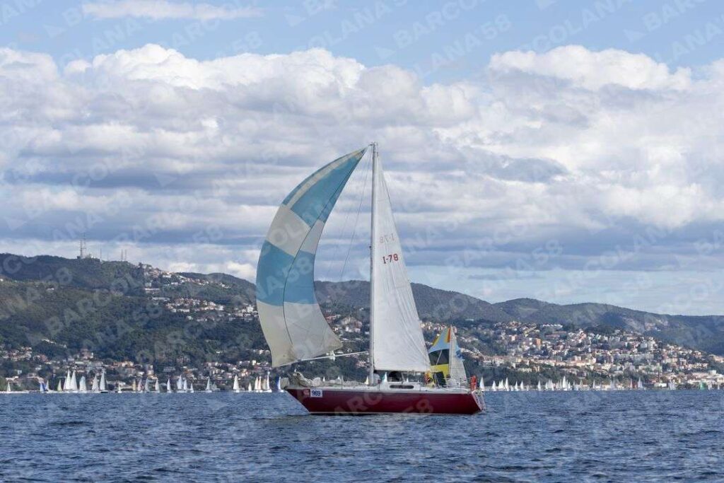 Mascone n° 0969
