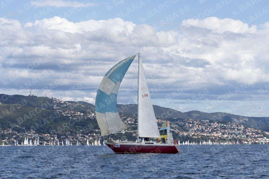 Mascone n° 0969