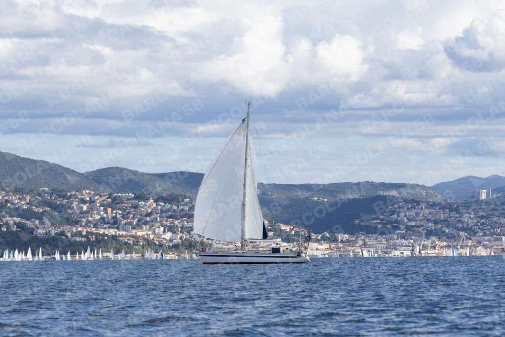 Mascone n° 0020