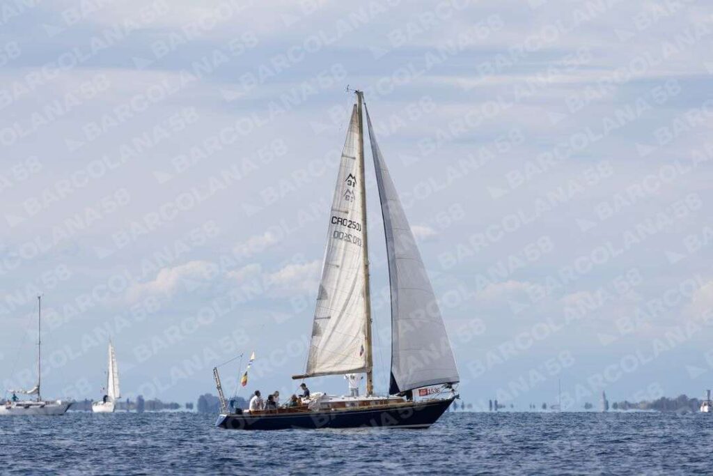 Mascone n° 1536