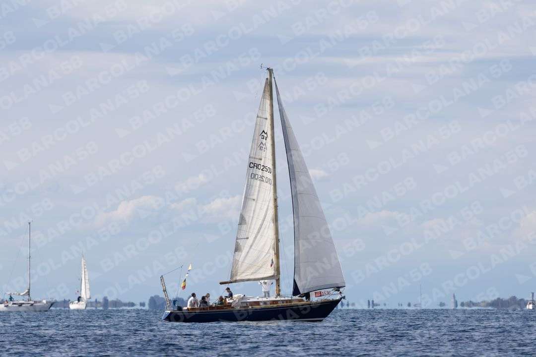 Mascone n° 1536