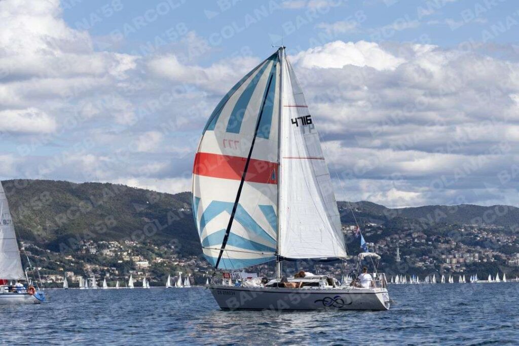 Mascone n° 1195