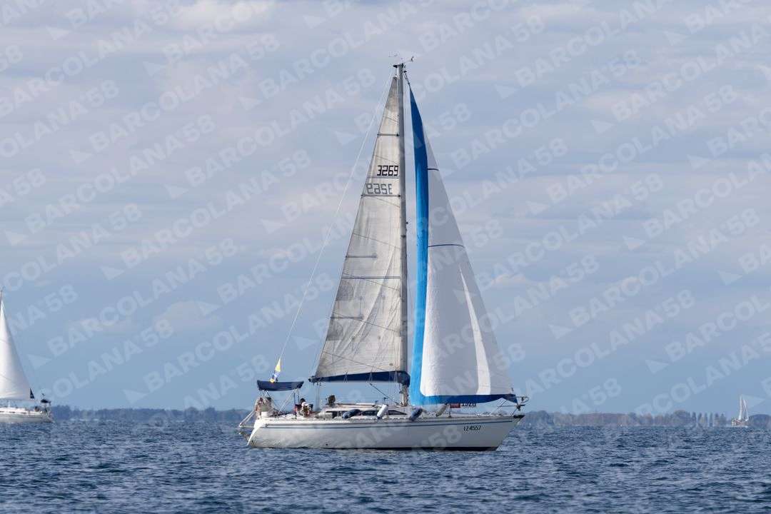 Mascone n° 1926 - immagine 1