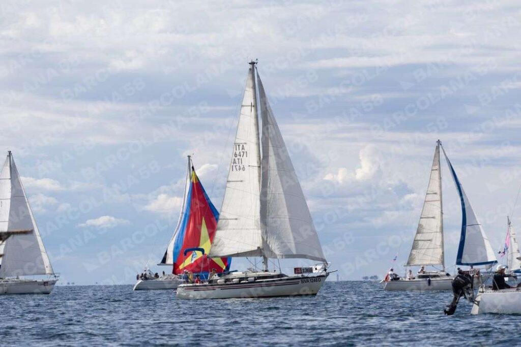 Mascone n° 1368, 1294