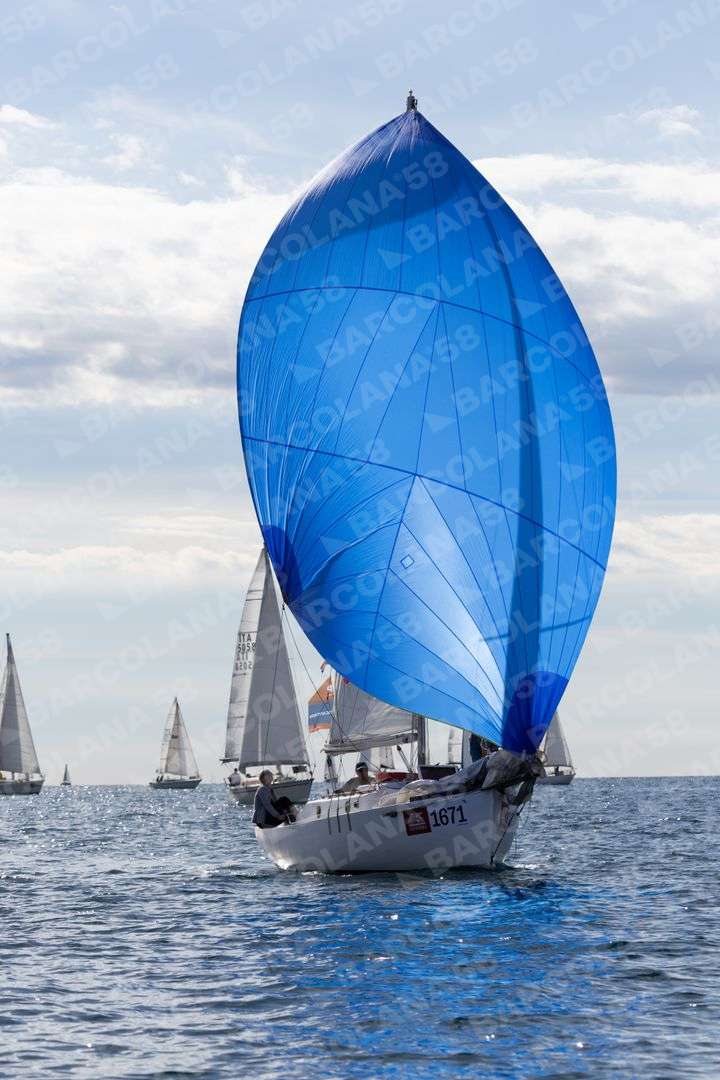 Mascone n° 1671
