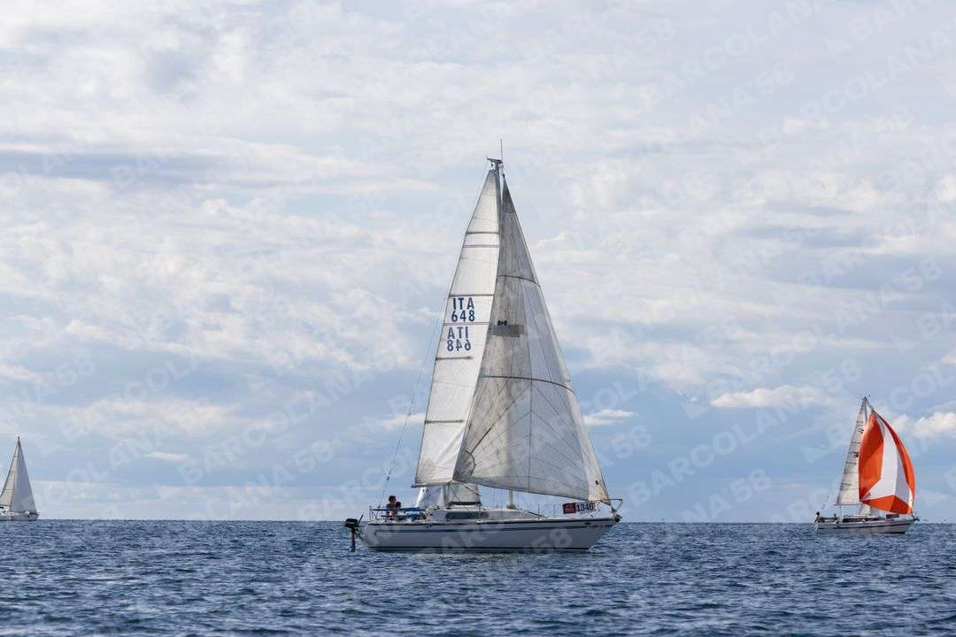 Mascone n° 1346