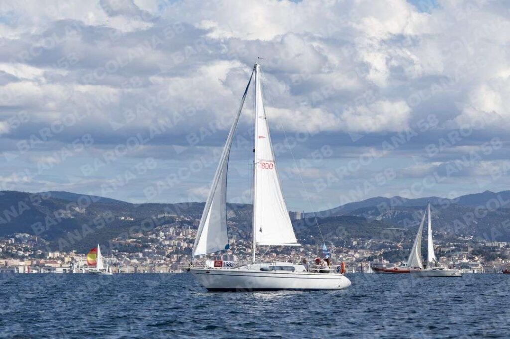 Mascone n° 1582