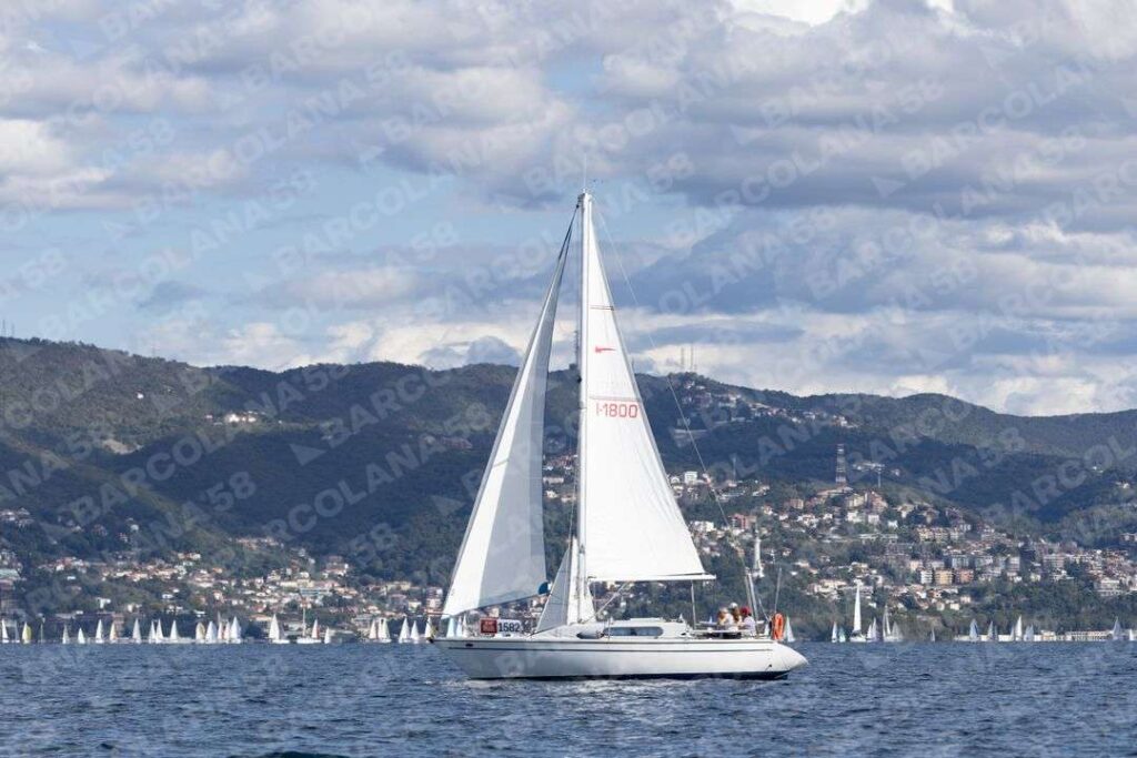 Mascone n° 1582