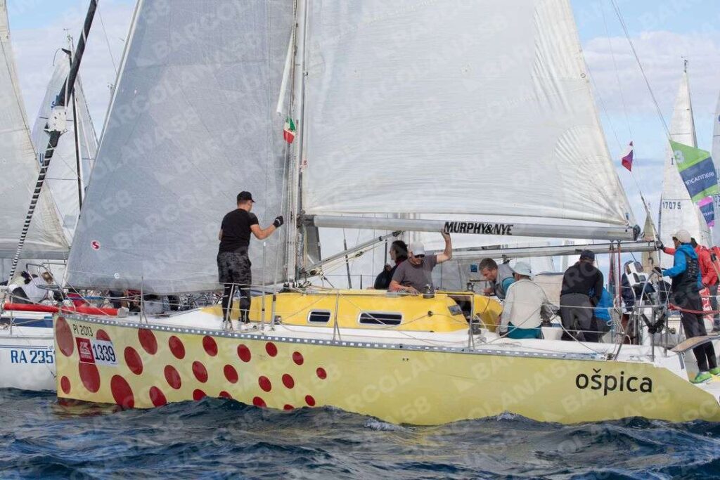 Mascone n° 1339
