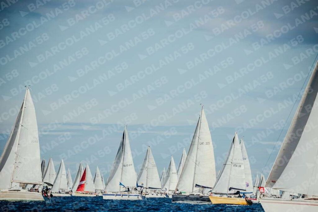 Mascone n° 1444, 0054, 0356, 0646, 0441, 1710