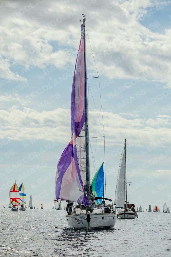Mascone n° 1466, 0740