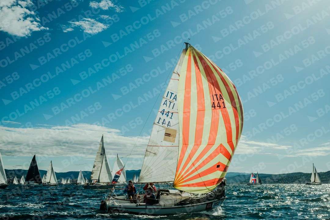 Mascone n° 0862, 1263
