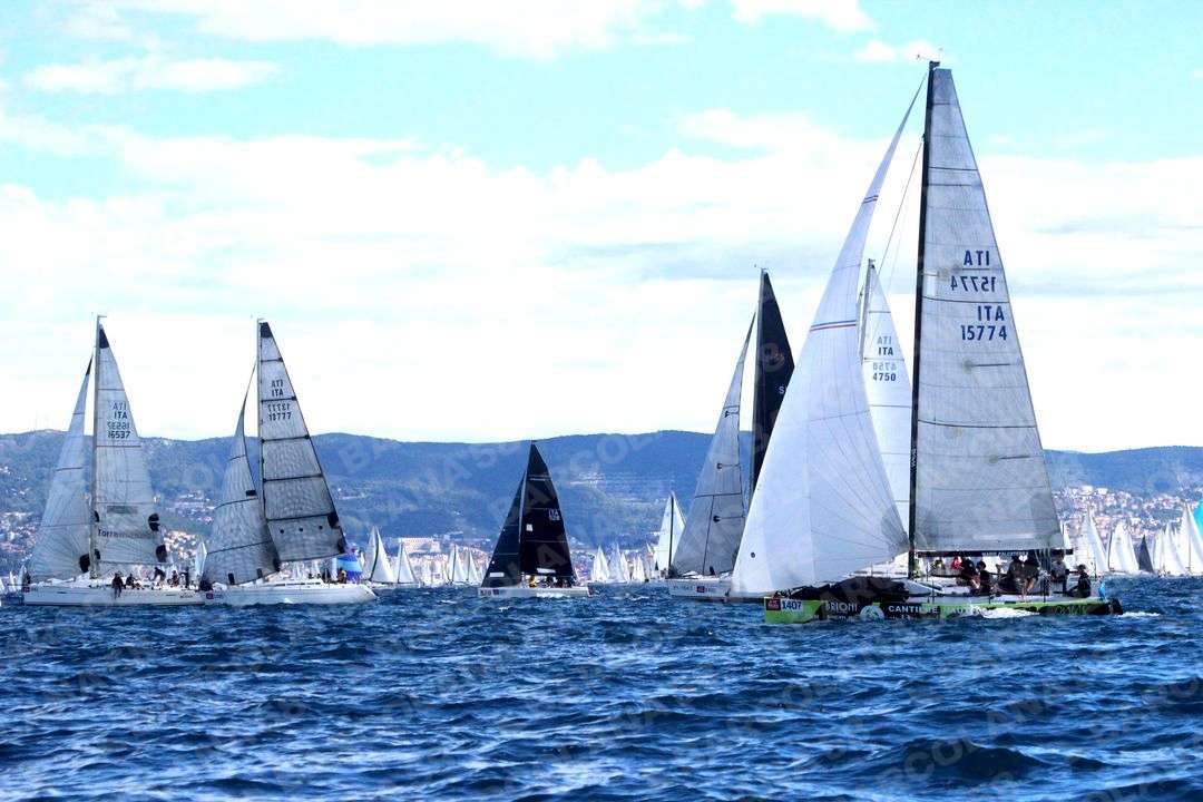 Mascone n° 1407, 1327, 1480, 1395, 0943