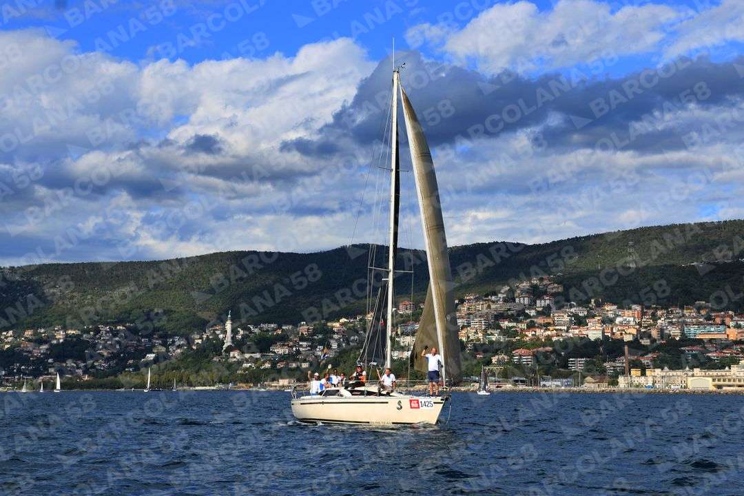 Mascone n° 1425