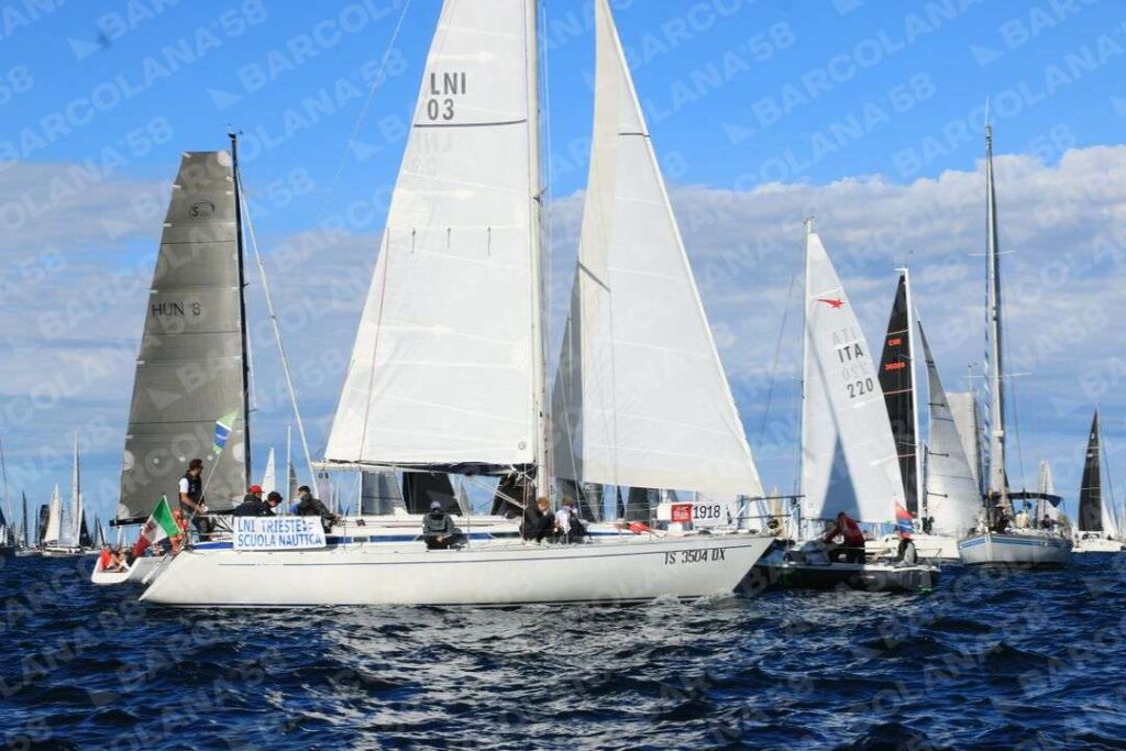 Mascone n° 1918, 0660