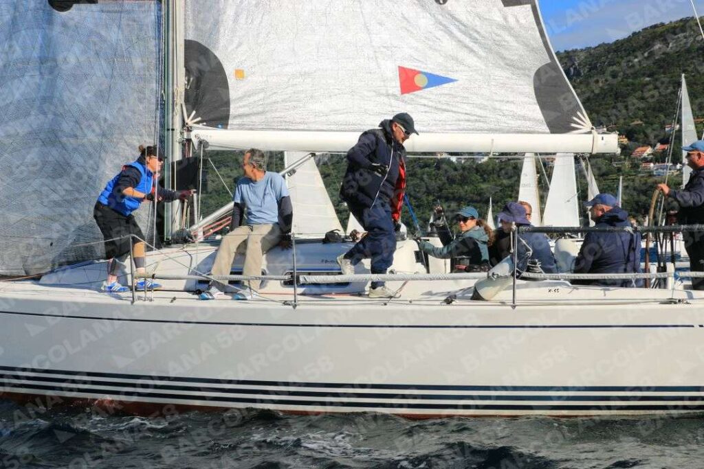 Mascone n° 1443