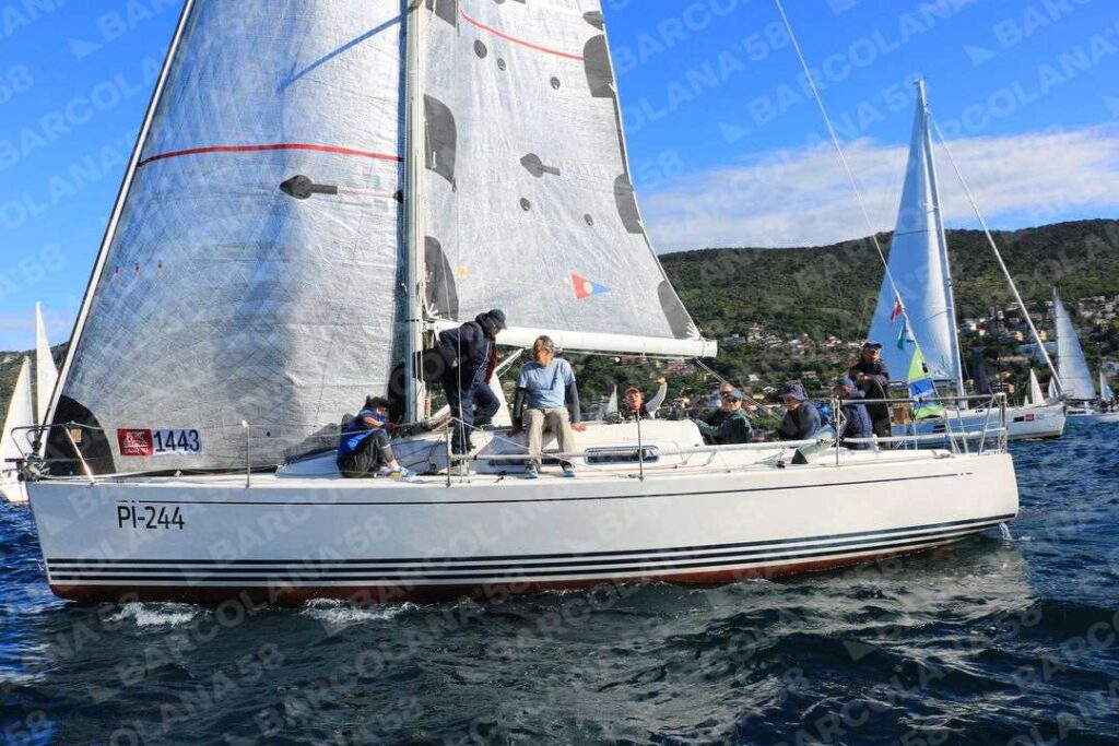Mascone n° 1443
