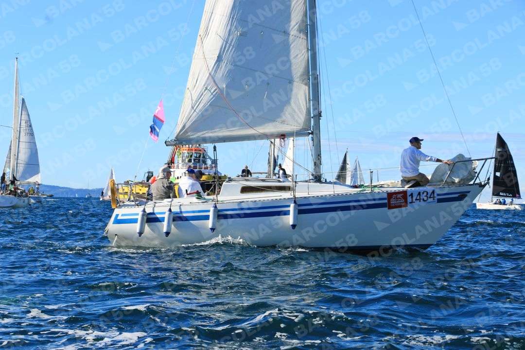 Mascone n° 1434