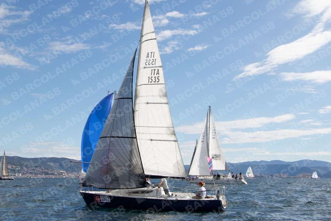 Mascone n° 1572, 0135 - immagine 1