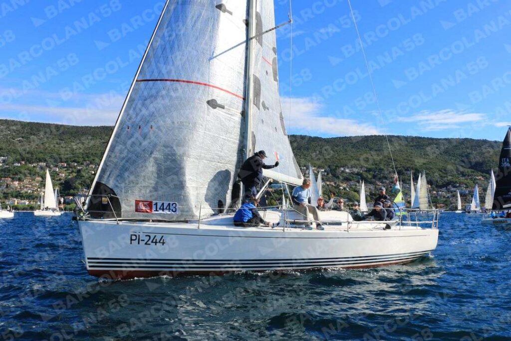 Mascone n° 1443