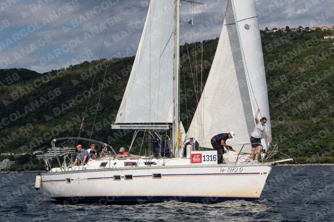 Mascone n° 1316