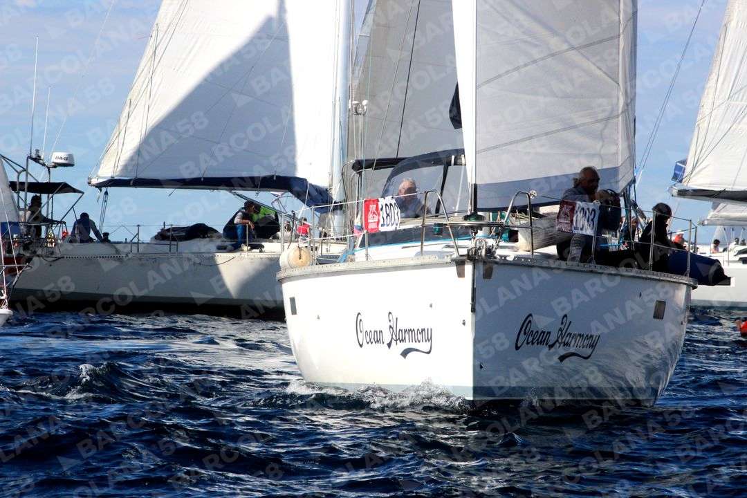 Mascone n° 1803