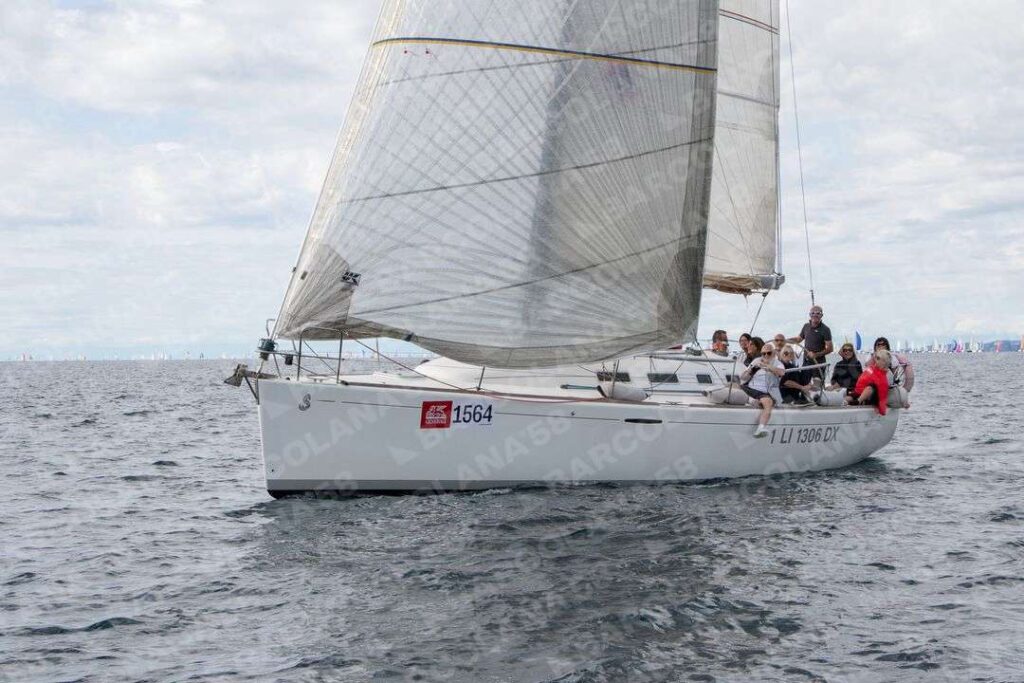 Mascone n° 1564