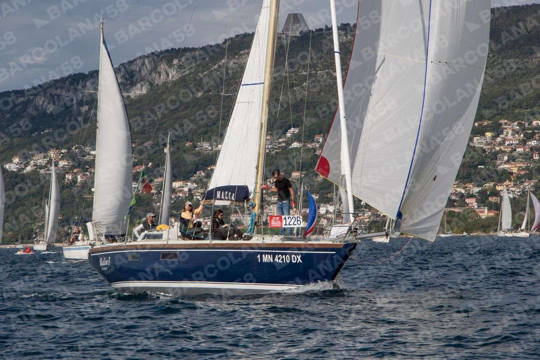 Mascone n° 1226