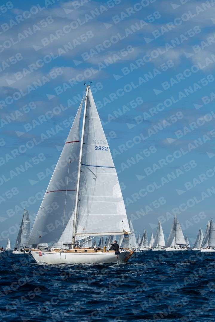 Mascone n° 1093