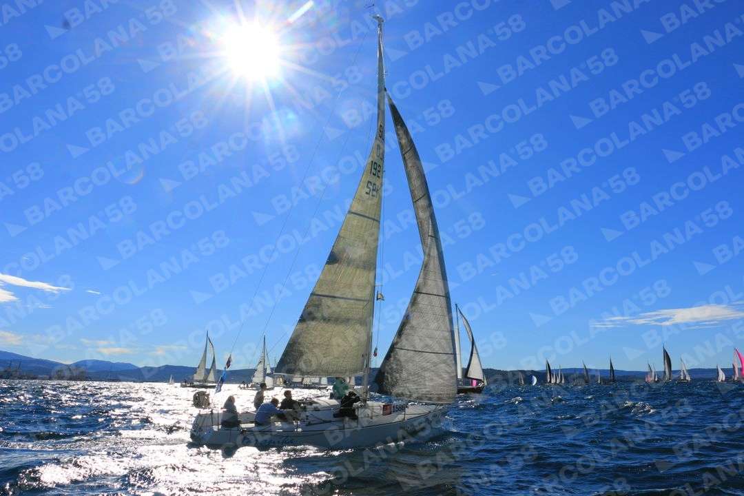 Mascone n° 1586