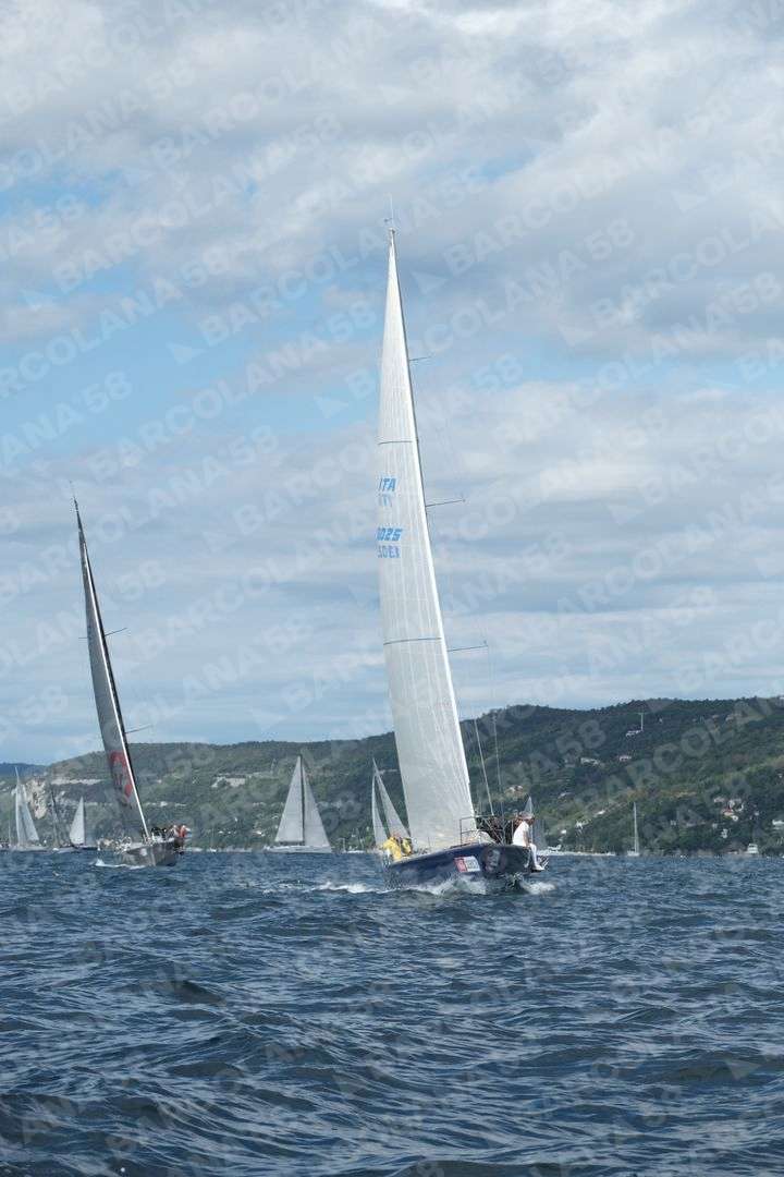 Mascone n° 1913 - immagine 1