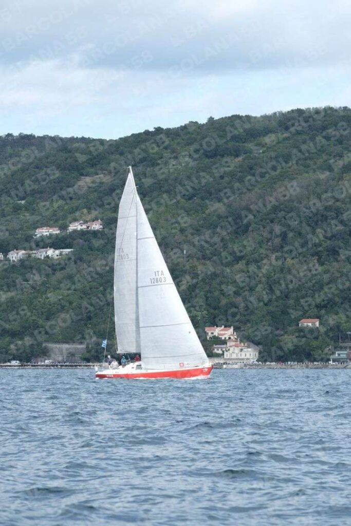 Mascone n° 1540