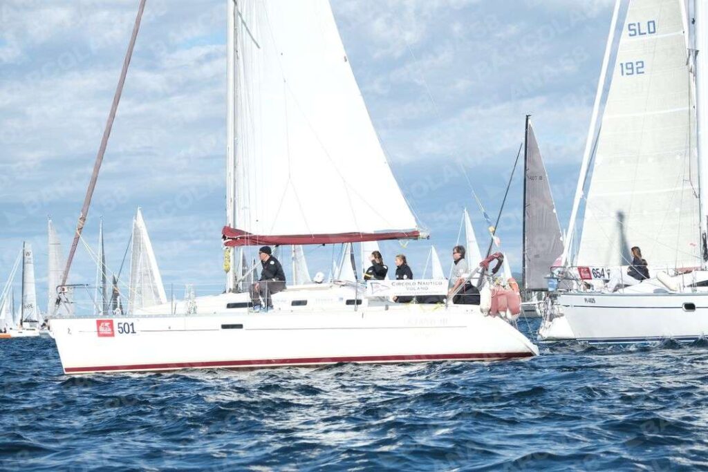 Mascone n° 0654, 0501