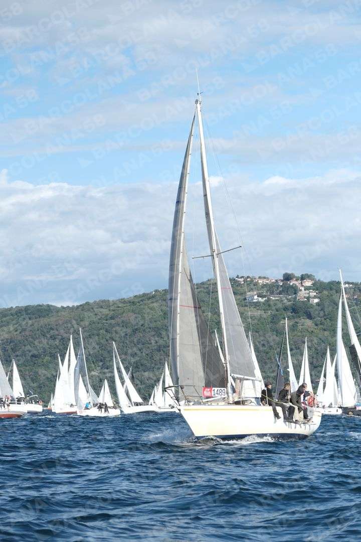 Mascone n° 1489, 1450 - immagine 1