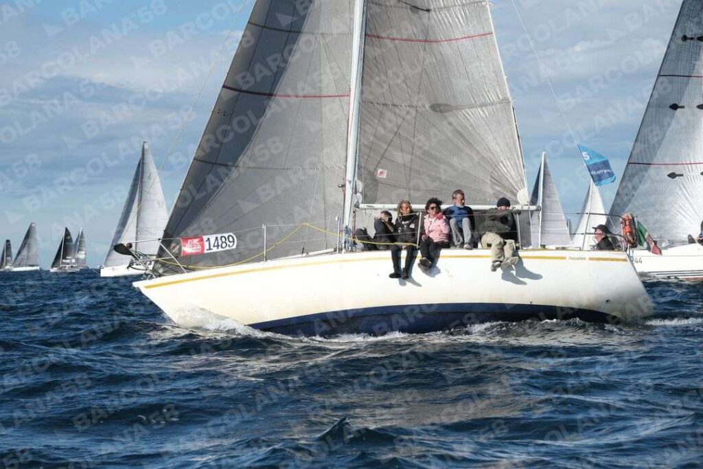 Mascone n° 1489