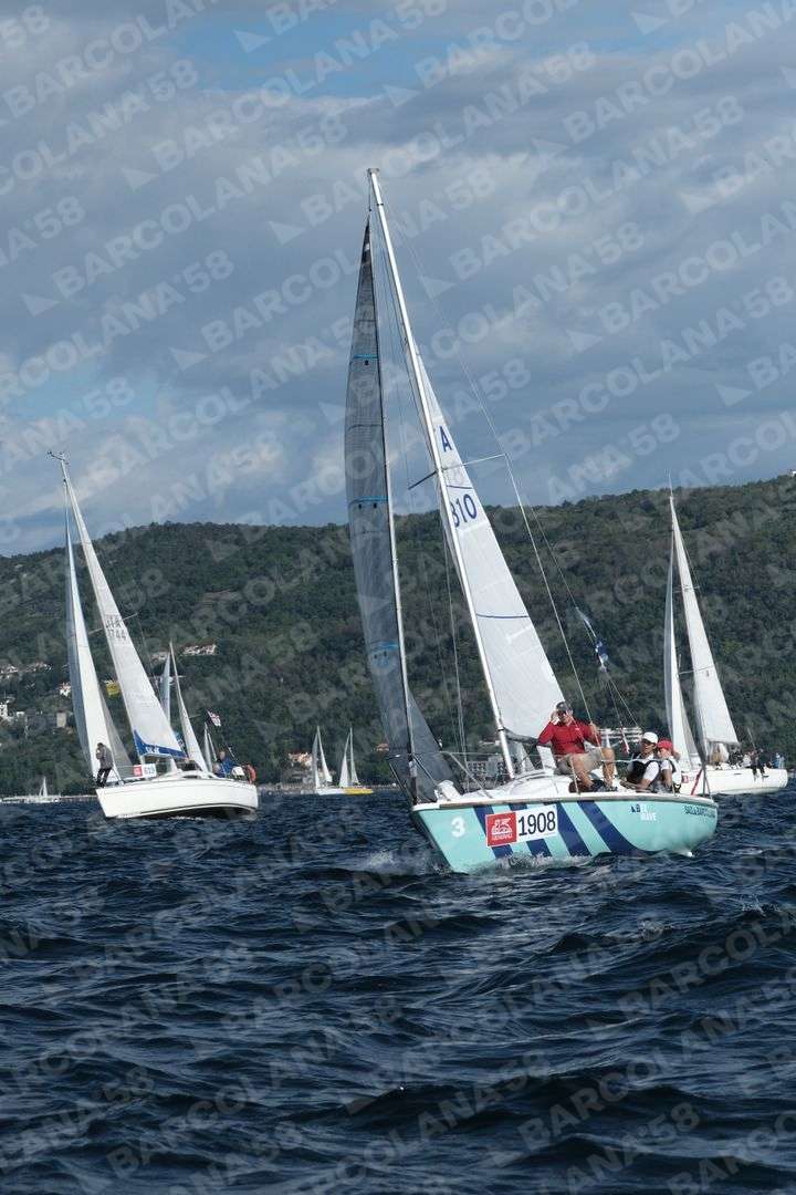 Mascone n° 1908, 0619 - immagine 1